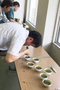 160517南九州緑茶研究会出荷茶品評会_審査中03