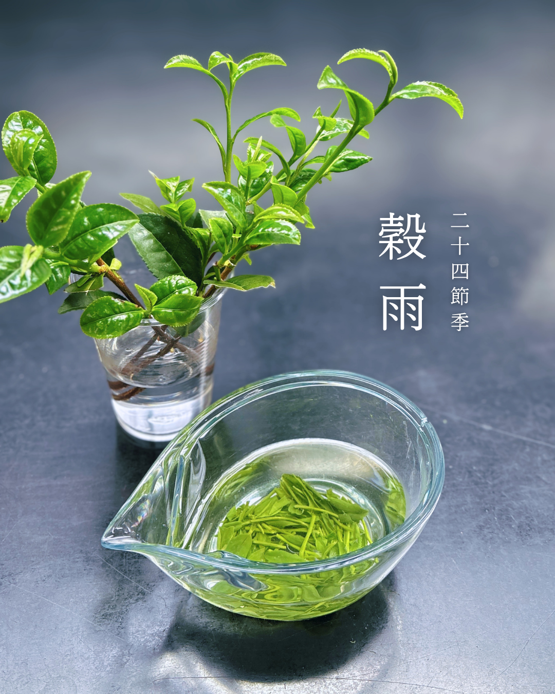 穀雨
