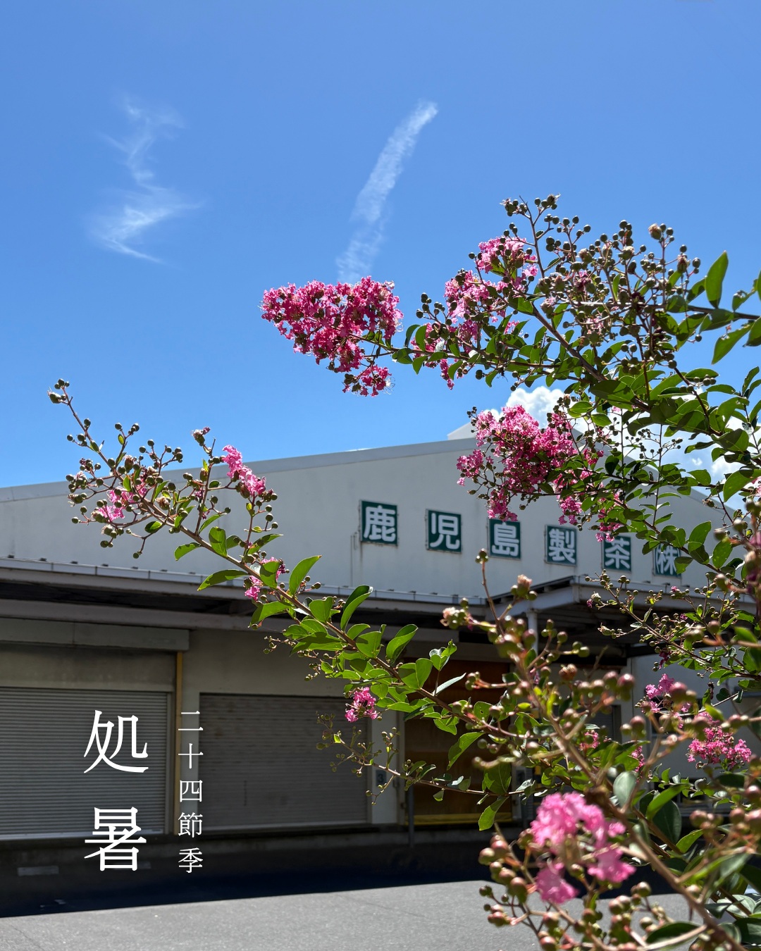 二十四節気の風景